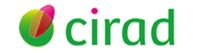 Cirad