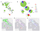 Biogeography from a food matrix: a temporal distribution map of Apis mellifera mitochondrial DNA lineages across Italy, obtained from honey samples