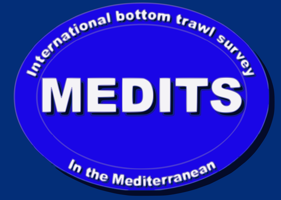 Logo Medits Project