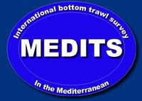 Logo MEDITS