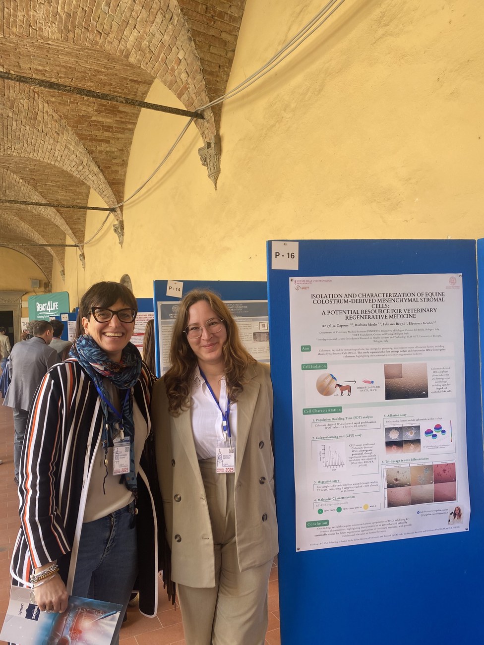 GISM 2025 Perugia Italia