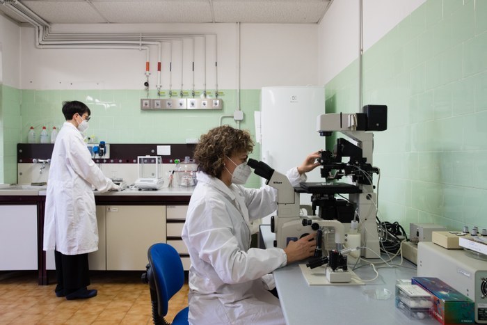 Laboratorio 4 Produzione embrionale in vitro