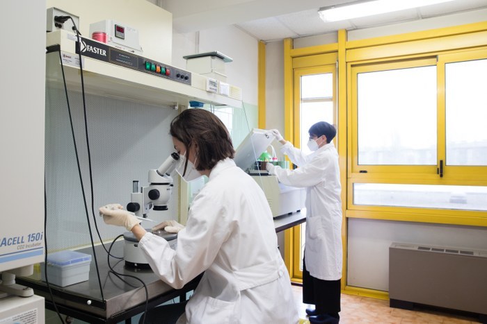 Laboratorio 4 Produzione embrionale in vitro