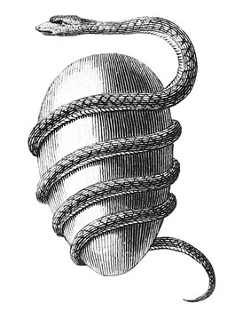 The Orphic Egg. https://commons.wikimedia.org/wiki/File:Orphic-egg.png