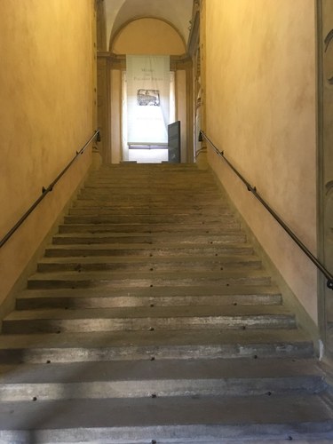 Luogo di lavoro, luogo di studio: scalinata verso la scienza. Palazzo Poggi, via Zamboni 33. UniboLife 2018 © Martina Gregori Uniboimmagine