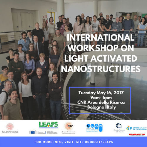 The International Workshop on Light Activated Nanostructures