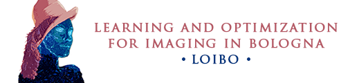 Learning and Optimization for Imaging in Bologna