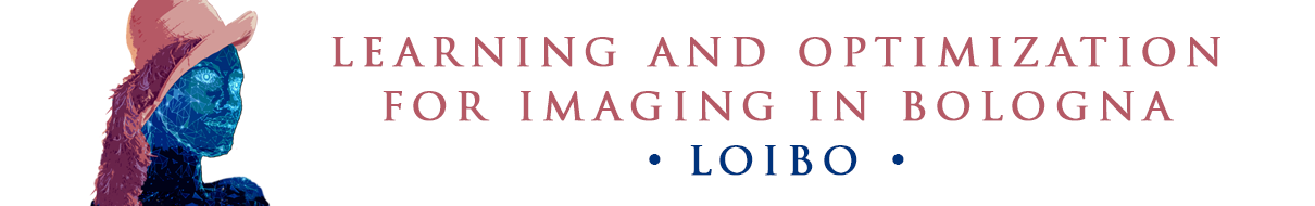 Learning and Optimization for Imaging in Bologna