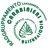 Raggruppamento Carabinieri Biodiversità