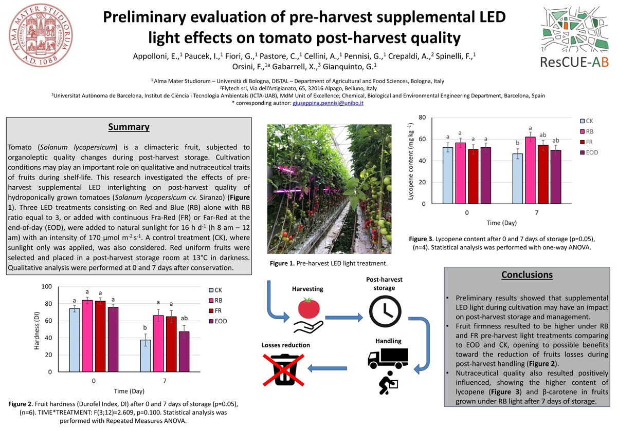 Preliminary evaluation of pre-harvest supplemental LED light effects on tomato post-harvest quality