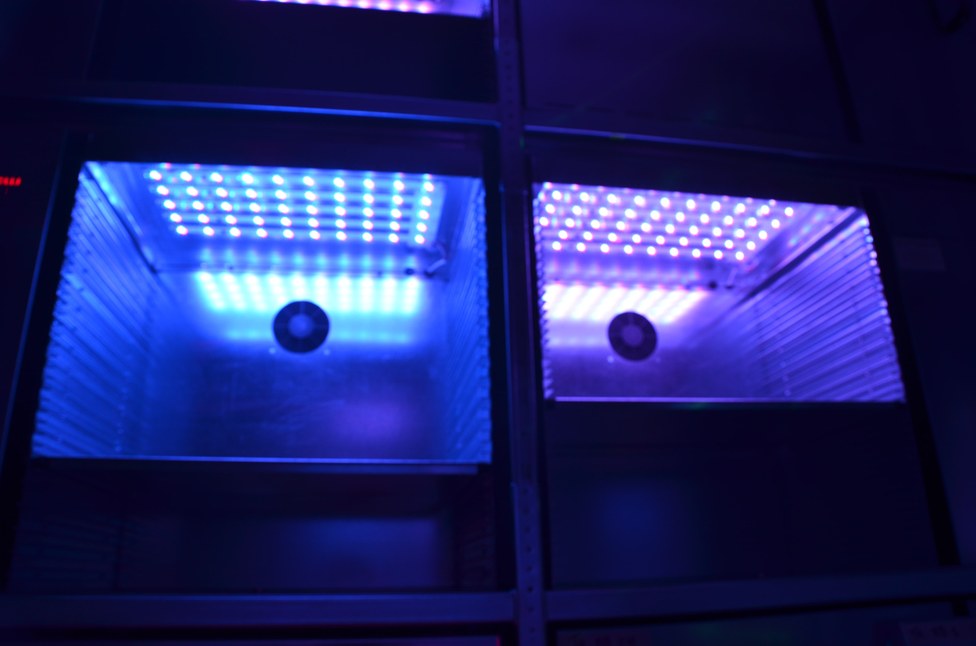 LED compartment 1