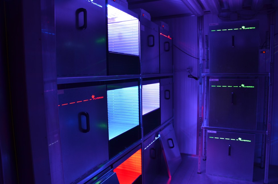 LED compartment 5