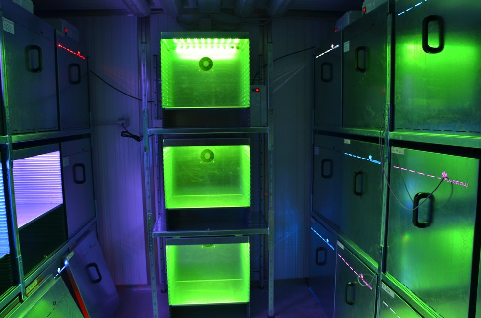 LED compartment 4