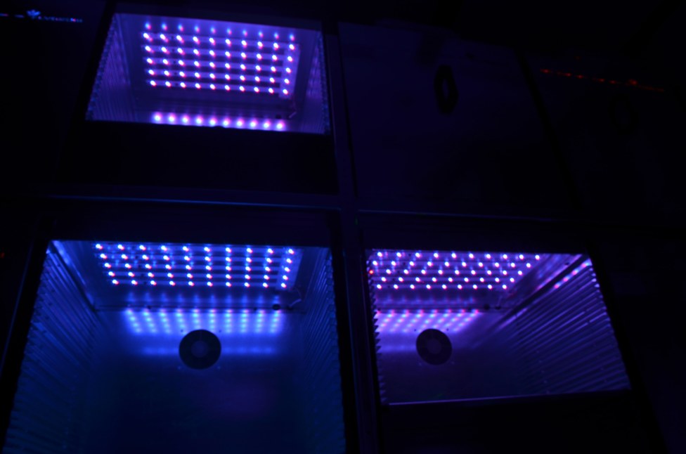 LED compartment 2