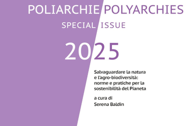 Poliarchie / Polyarchies Special Issue 2025