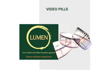 LUMEN Video Pills