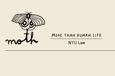 MOTH project