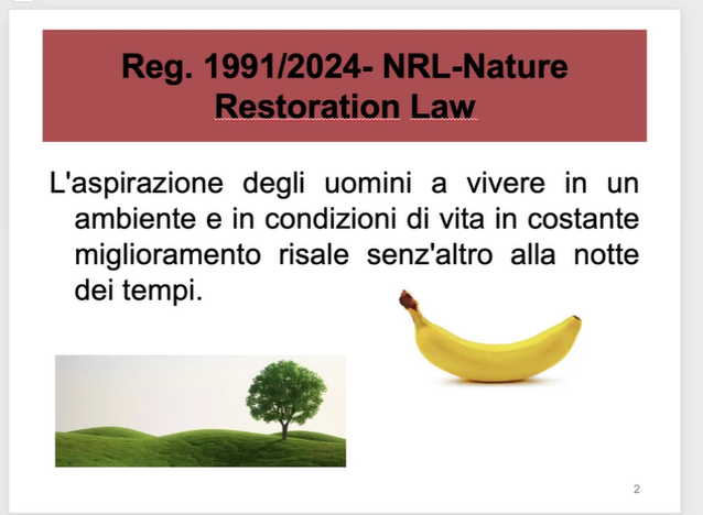 Presentazione Andrea Crismani