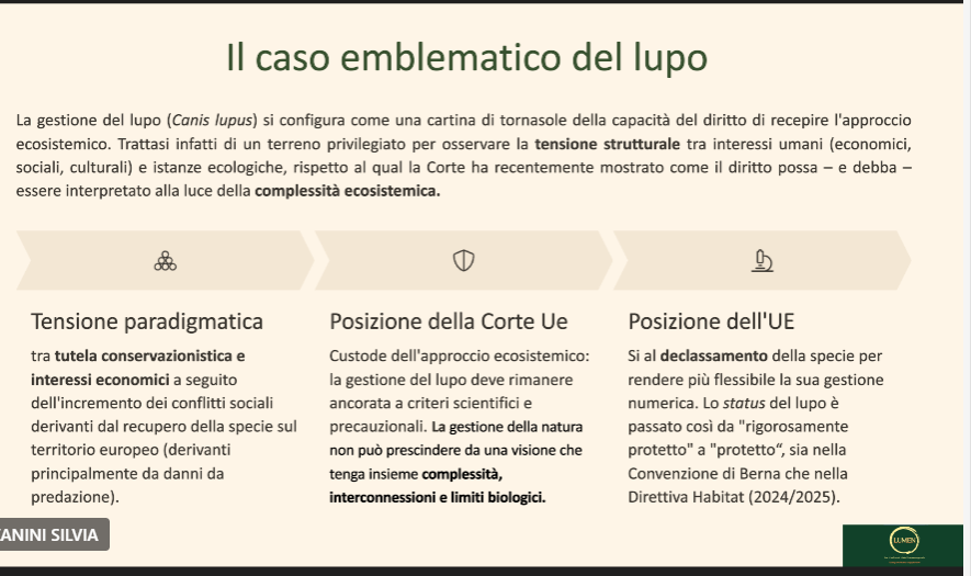 Presentazione Silvia Zanini