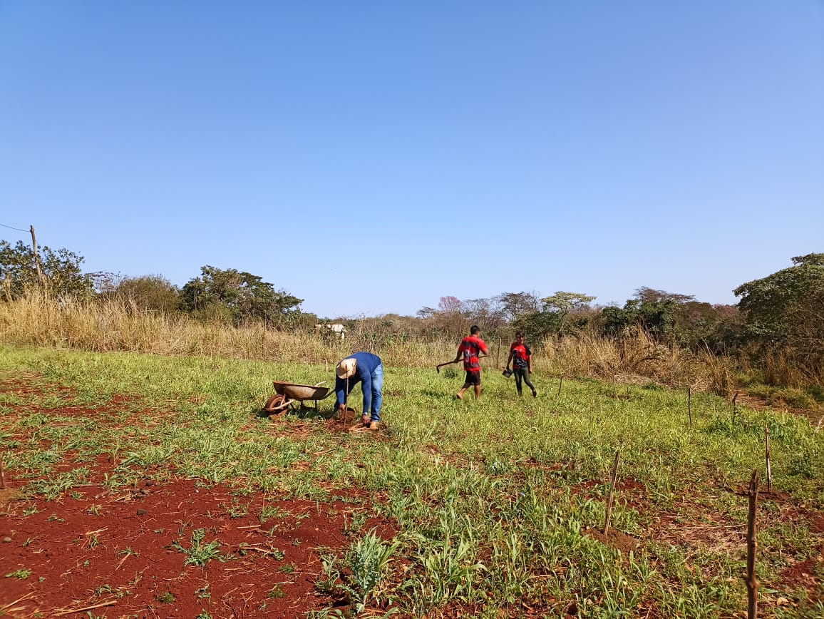 Visita al progetto agroforestale “Cerra do Pantanal”