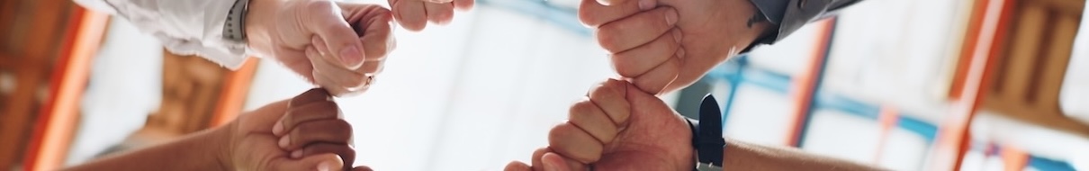 Research project "School needs and Service Delivery Models in School Psychology"