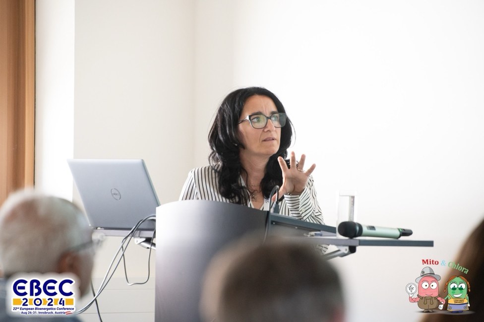 EBEC 2024, Innsbruck, Austria.