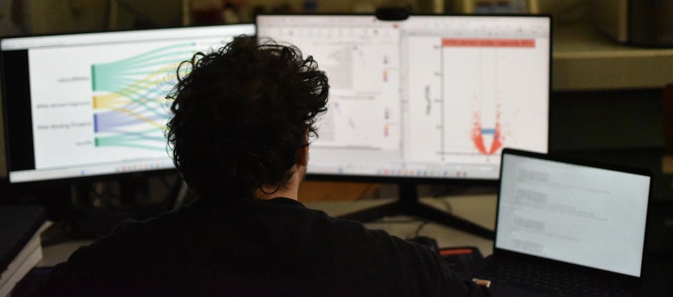 Bioinformatician at Work