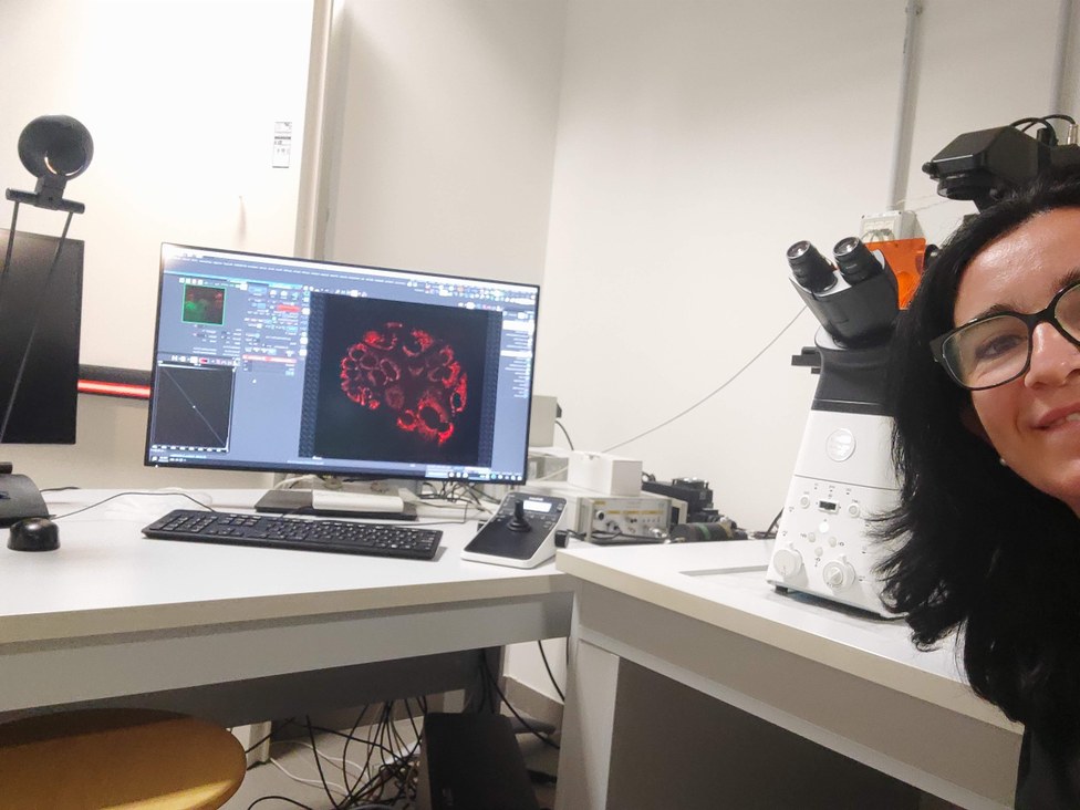 Microscopio confocale - esperimenti