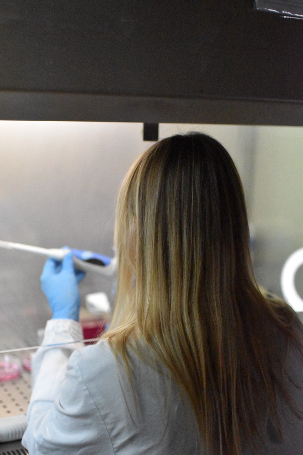 PhD student under the hood