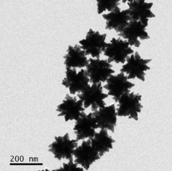 Spiky Gold Nanoparticles