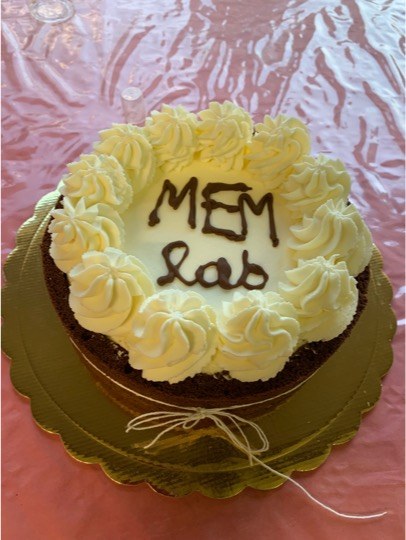 A birthday party event with the MEM-Lab cake