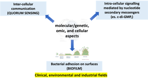 Topics of the course
