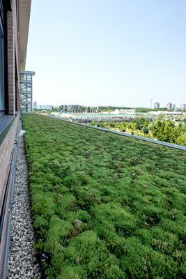 Green roofs - Fanin District
