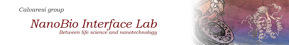 NanoBio Interface Lab