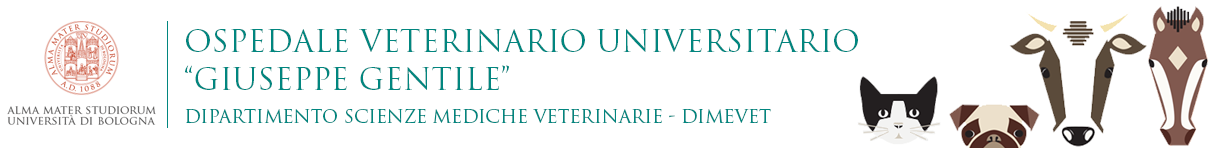Ospedale Veterinario Universitario "Giuseppe Gentile"