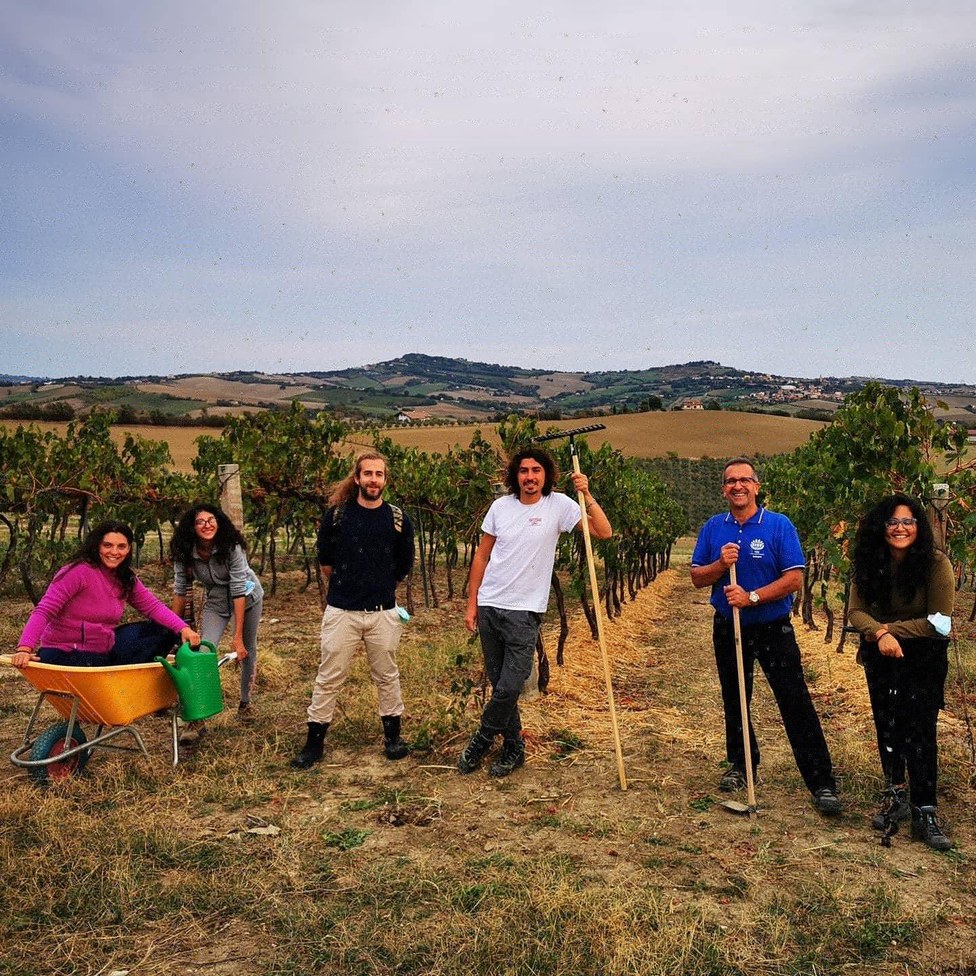 Sowing Team at Tenuta del Monsignore (RN)