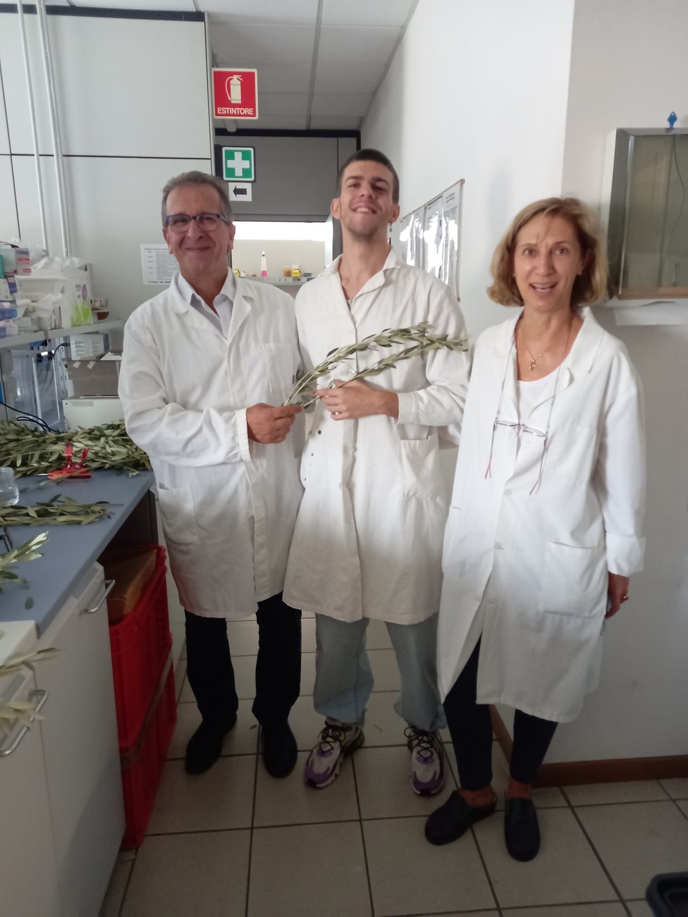 Conservation of Apulia olive heritage