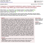 Comparison of untargeted metabolomic patterns between Italian Landrace and Italian Large White pigs reveals distinct molecular phenotypes