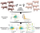 Description of metabolic differences between castrated males and intact gilts obtained from high-throughput metabolomics of porcine plasma