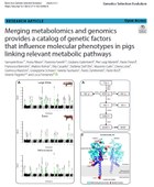 Merging metabolomics and genomics provides a catalog of genetic factors that influence molecular phenotypes in pigs linking relevant metabolic pathways