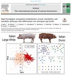 High-throughput untargeted metabolomics reveals metabolites and metabolic pathways that differentiate two divergent pig breeds