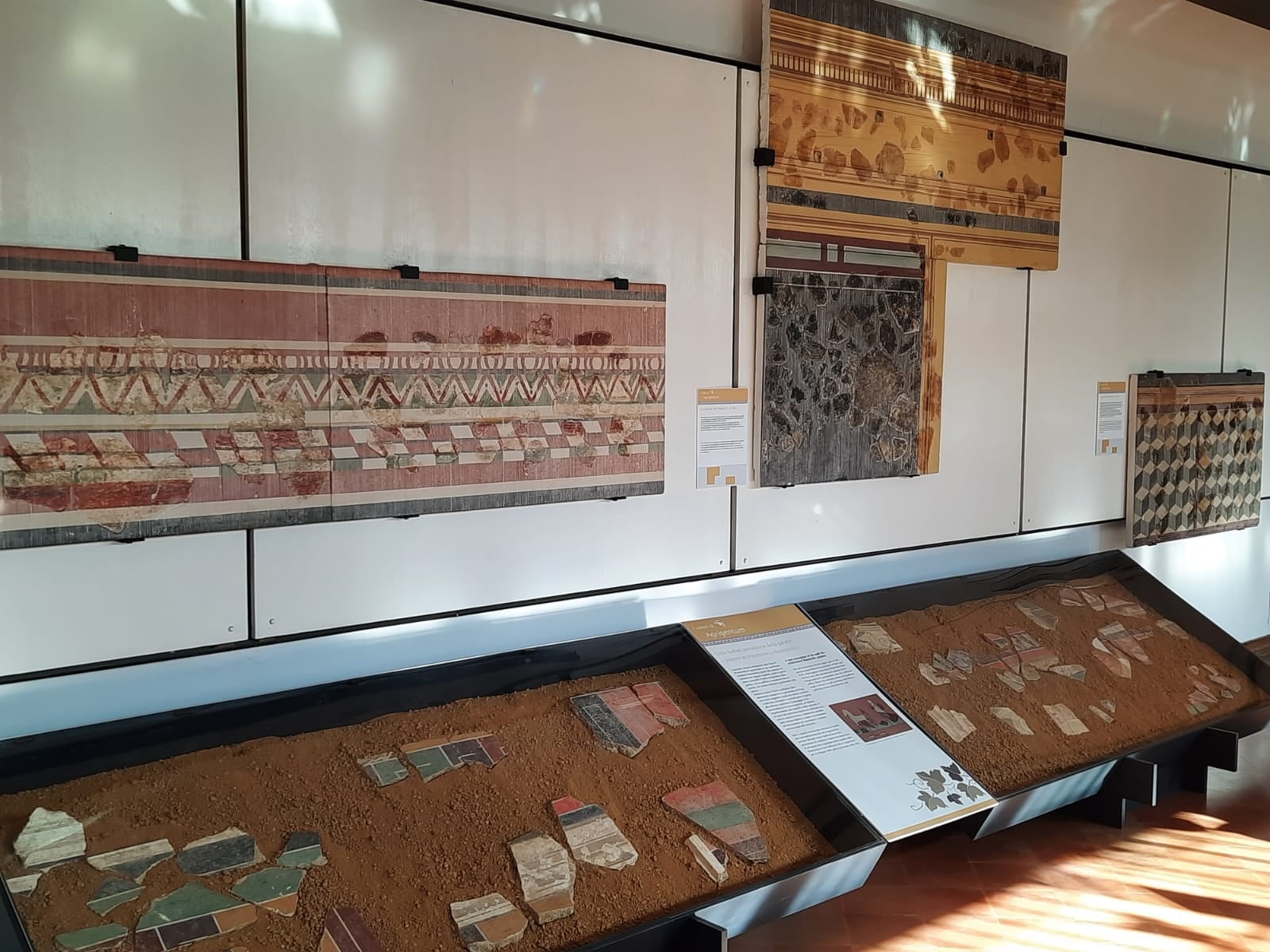 Allestimento Sala 7 del Museo