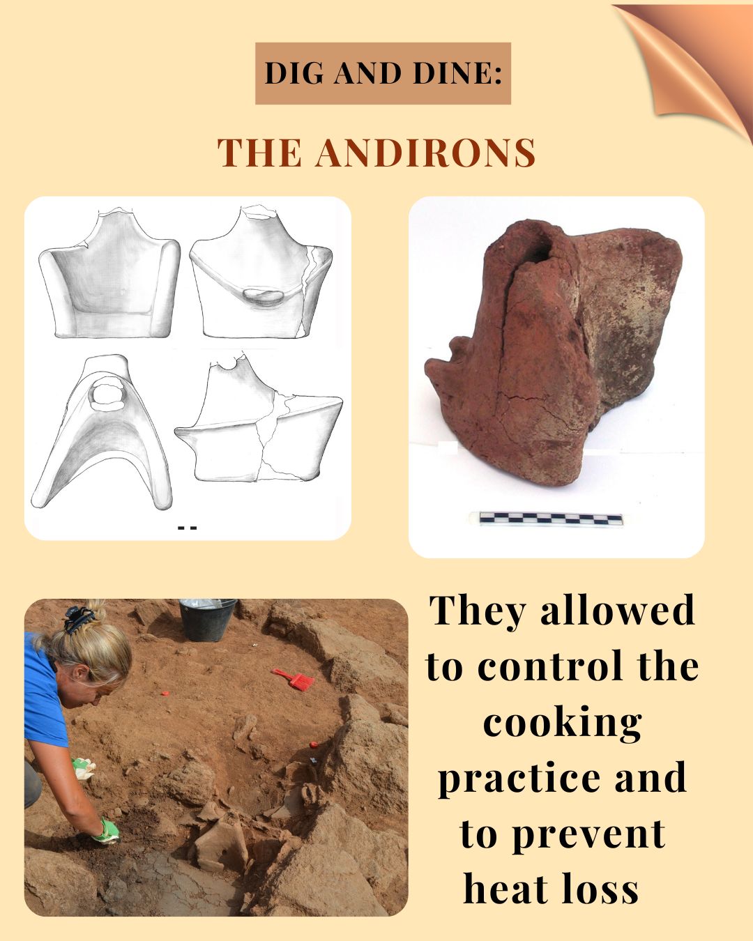 The andirons_2