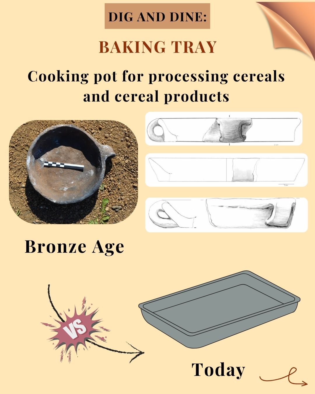 The Baking tray