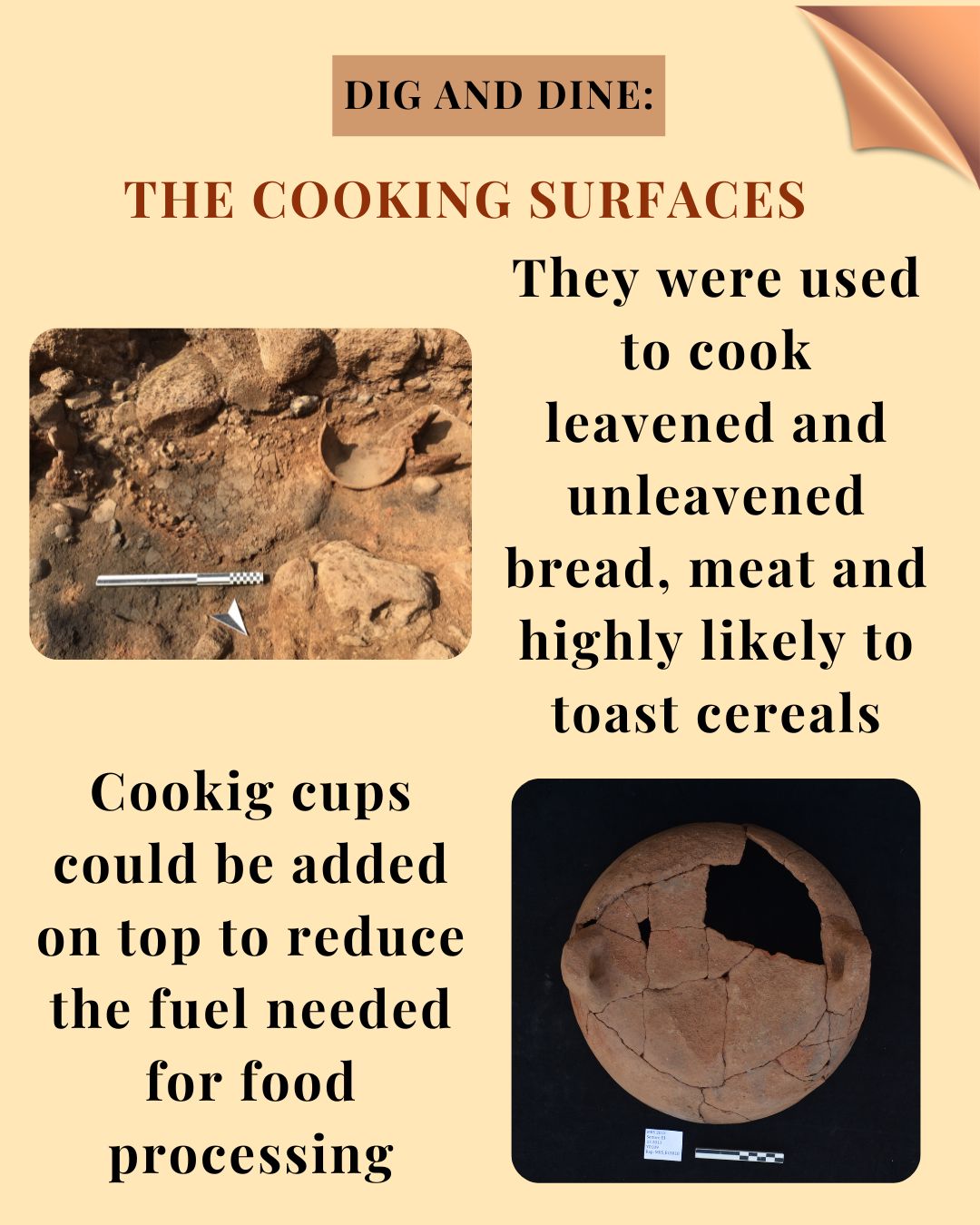 The cooking surfaces_2
