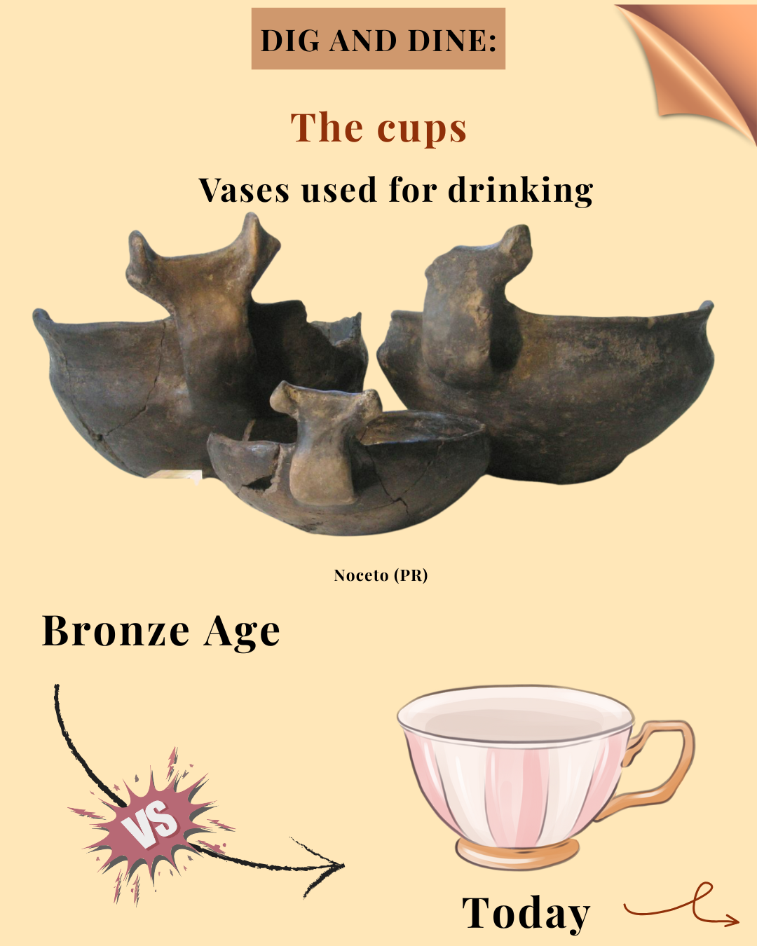The Cups_1