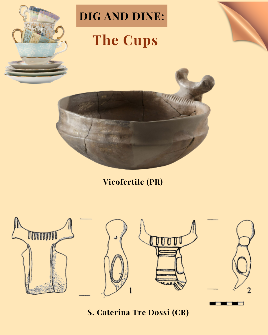 The Cups_2