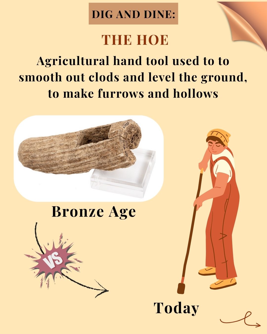 The Hoe