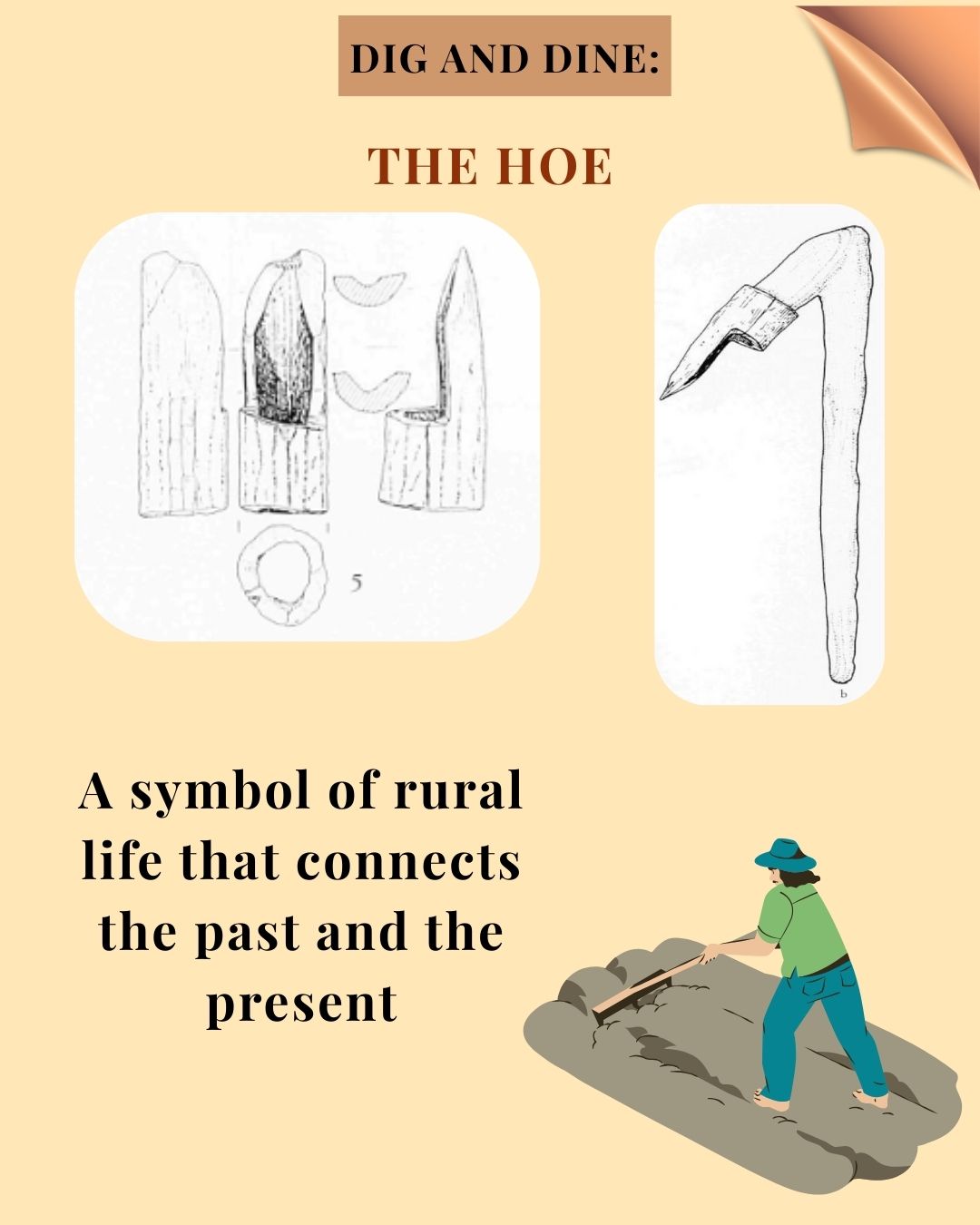 The Hoe_2