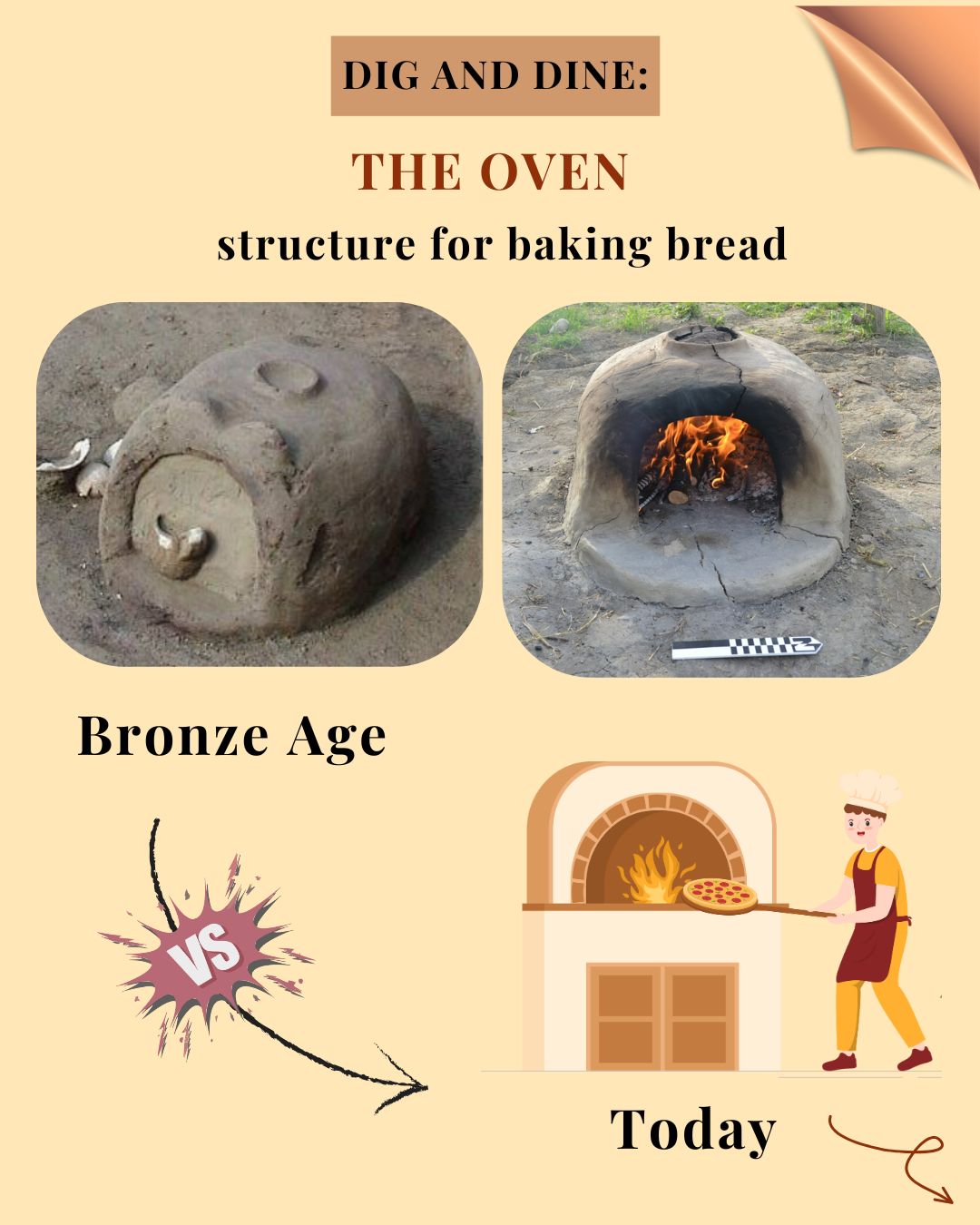 The oven